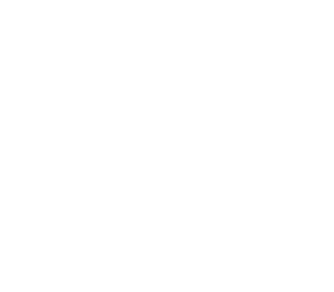 INTERMED : logo République Française