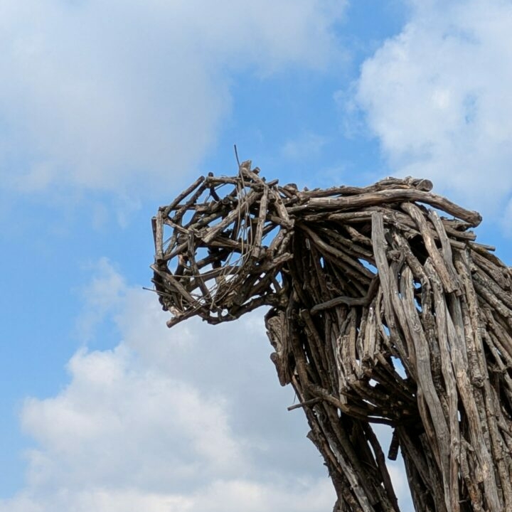 Sortie culturelle Musée des Maisons Comtoises
